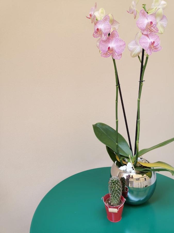 مارغريتا دي سافويا Margherita Boutique Rooms المظهر الخارجي الصورة